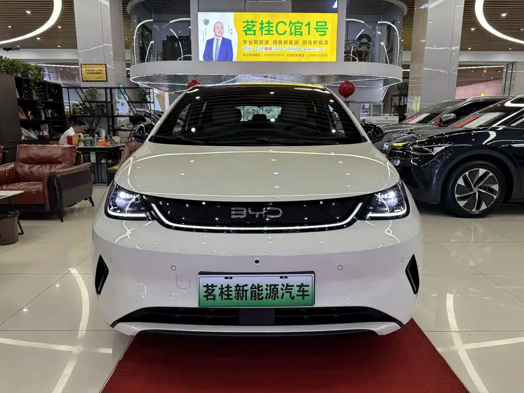 BYD Dolphin 2025 Smart Drive 410km Fashion
