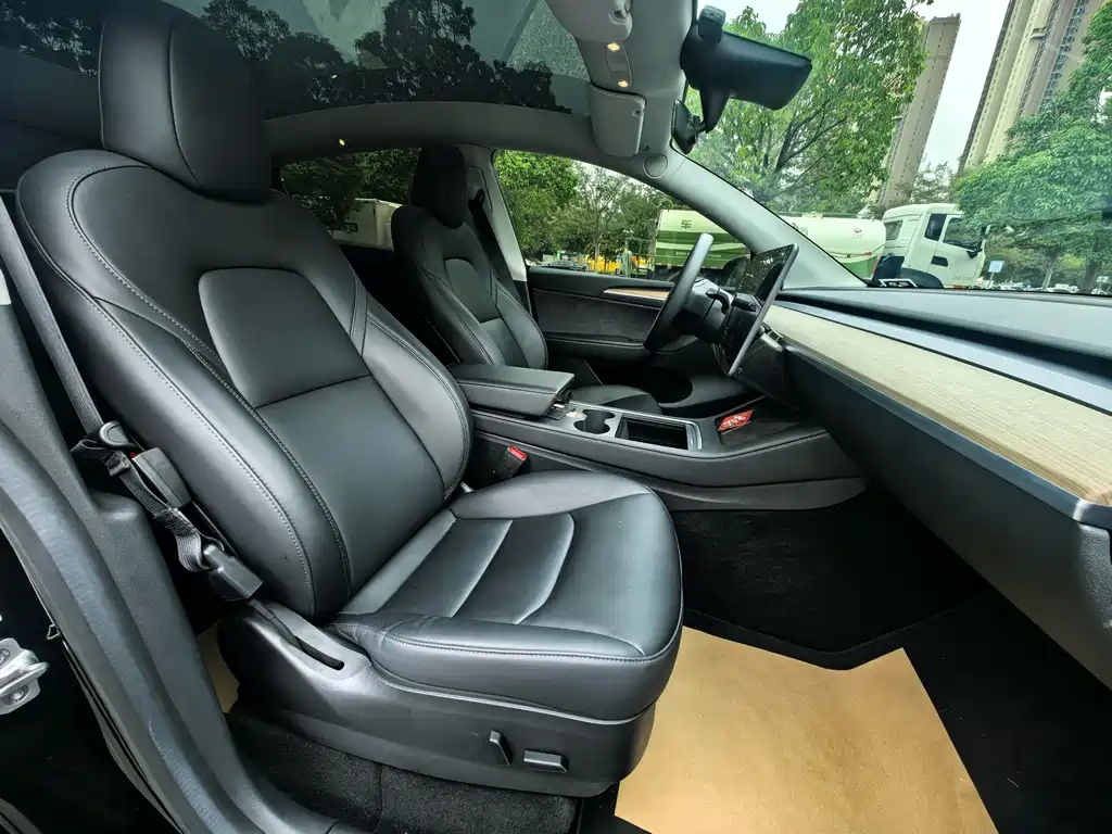 Tesla Model Y — миниатюра 4