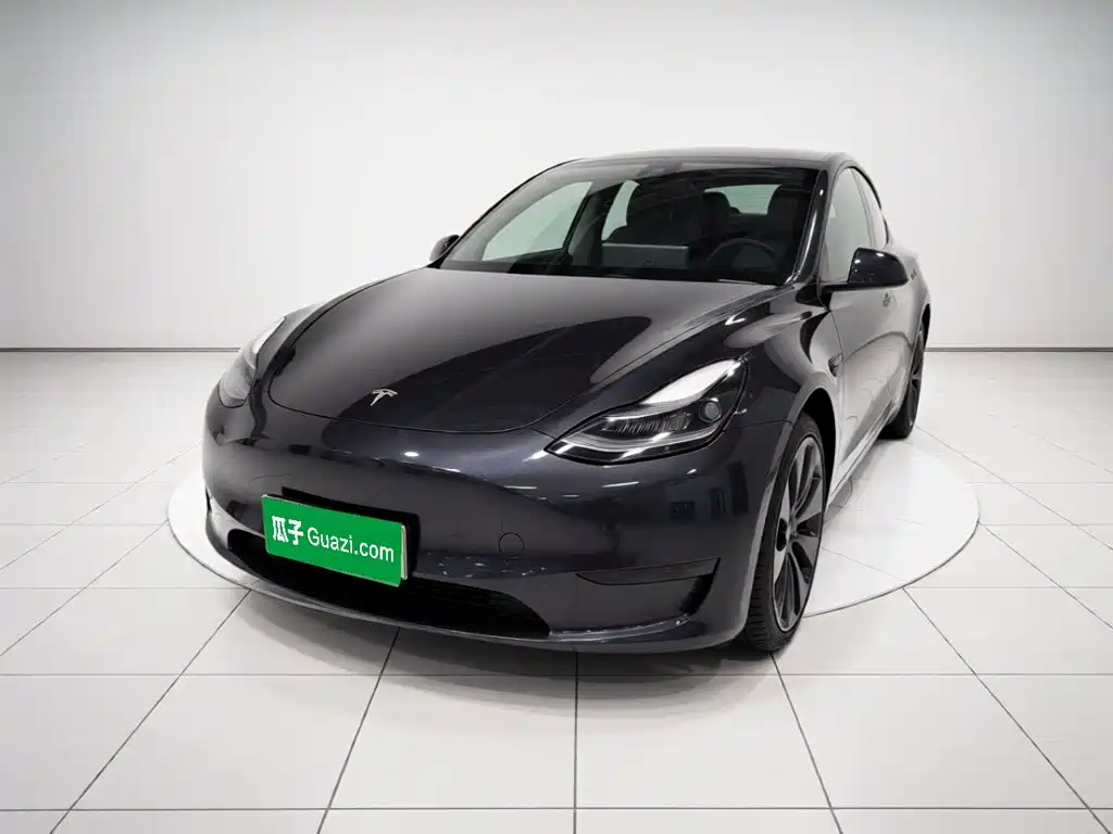 Tesla Model Y — миниатюра 2