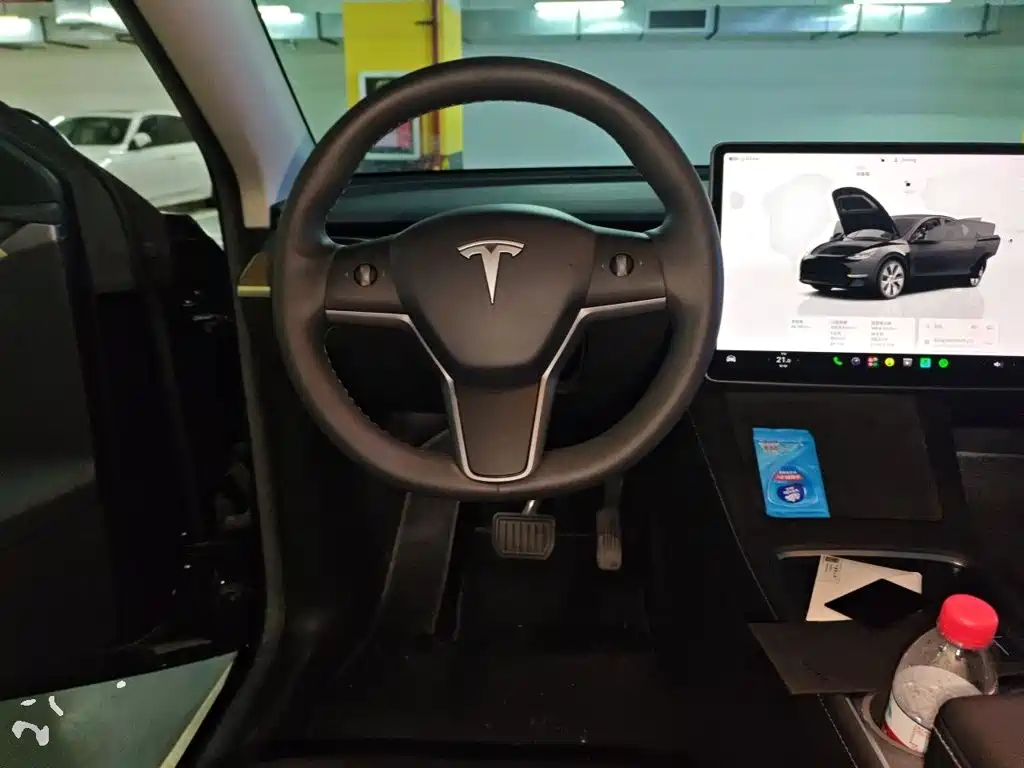 Tesla Model Y — миниатюра 6