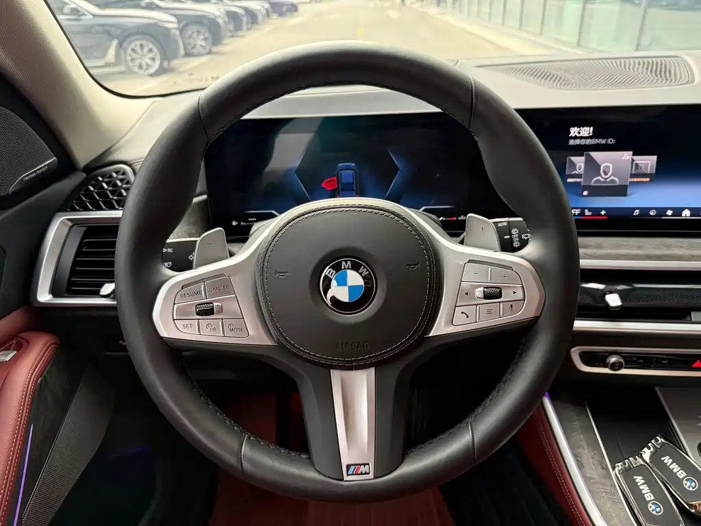 BMW X5 — миниатюра 10