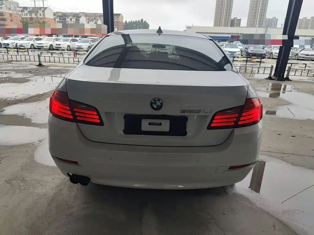 BMW 5 Series 5 2014 525Li Lead