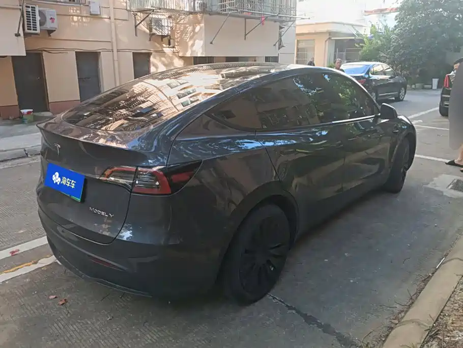 Tesla Model Y — миниатюра 3