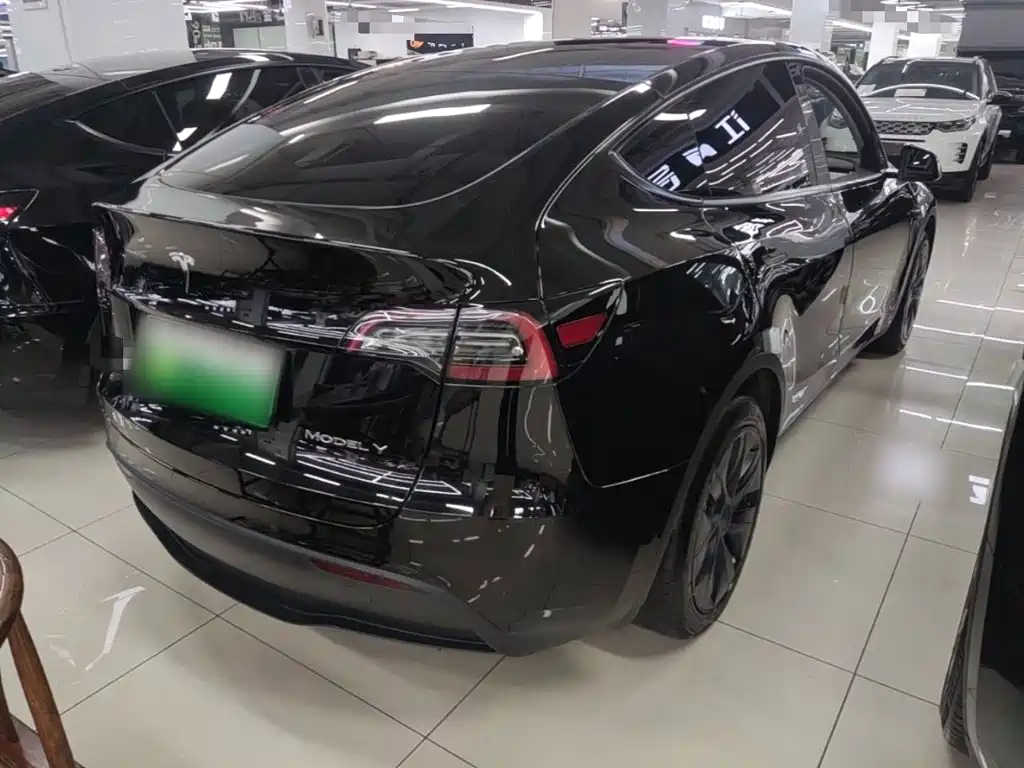 Tesla Model Y — миниатюра 7
