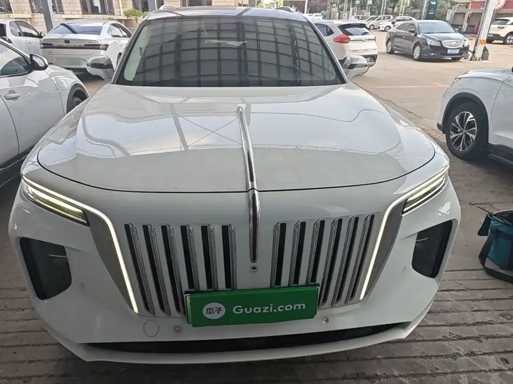 Hongqi Hongqi E-HS9 — миниатюра 3