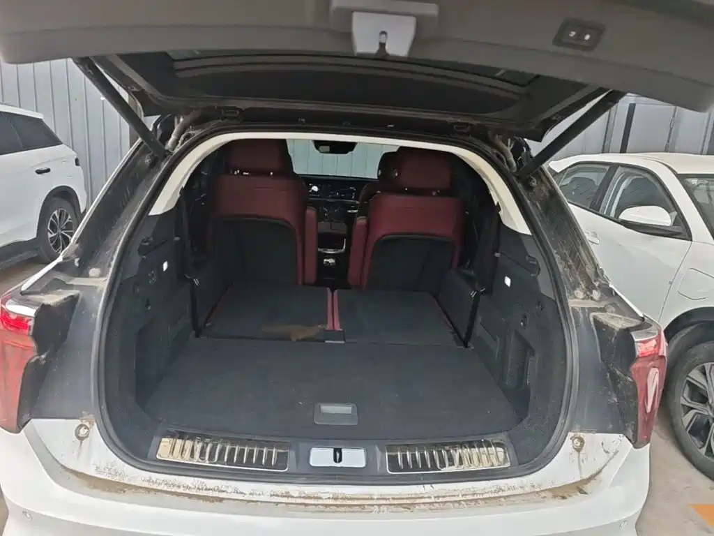 Hongqi Hongqi E-HS9 — миниатюра 19