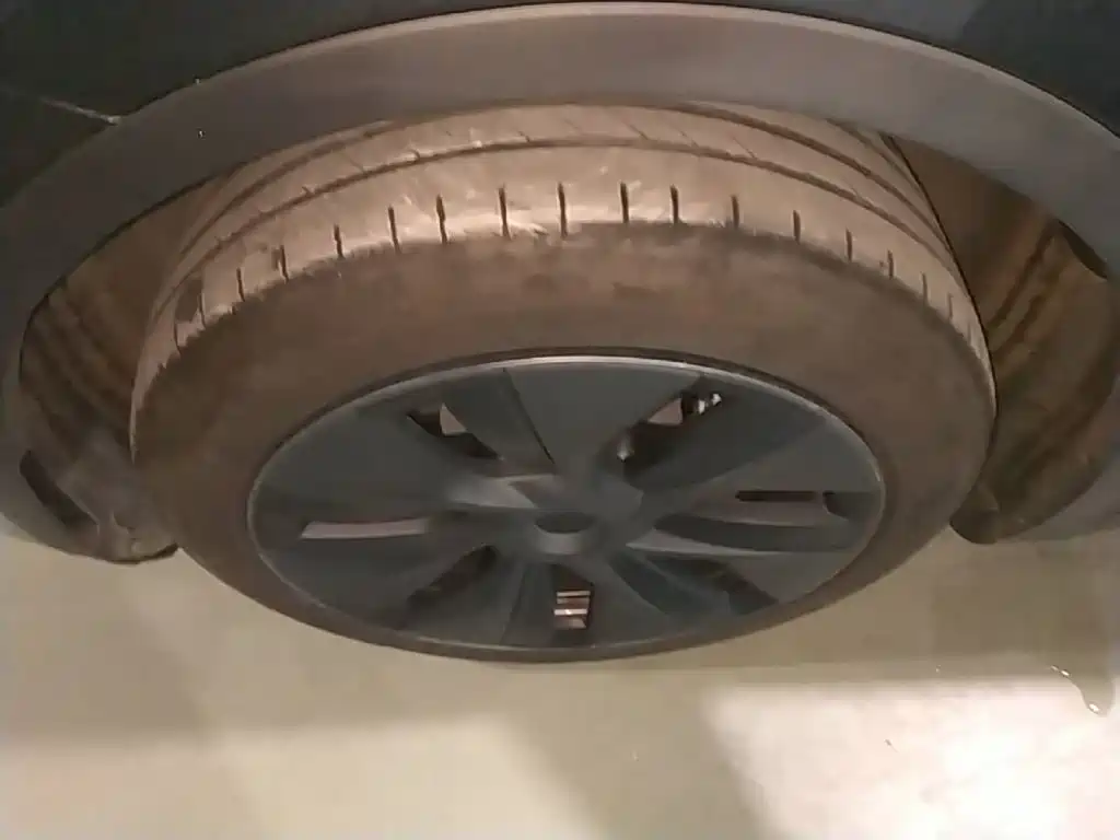 Tesla Model Y — миниатюра 23