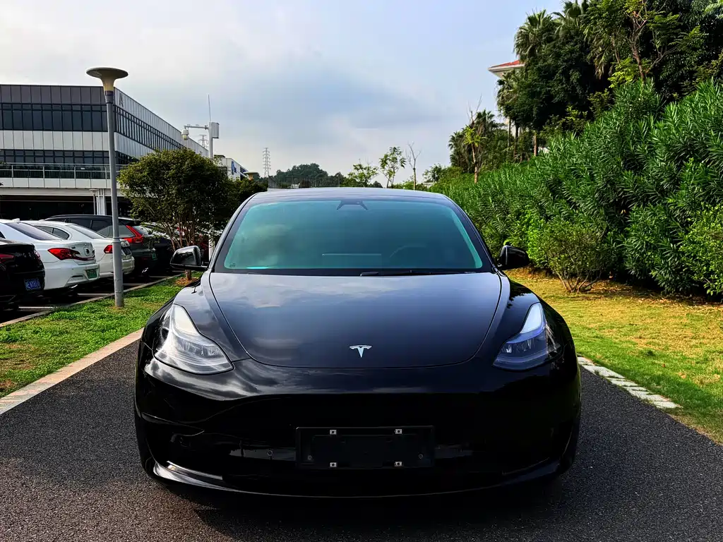 Tesla Model 3 — миниатюра 2