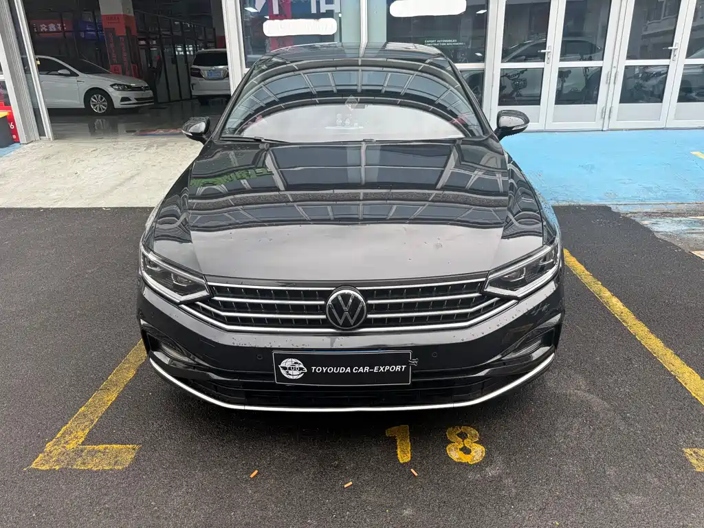 Volkswagen Magotan — миниатюра 2