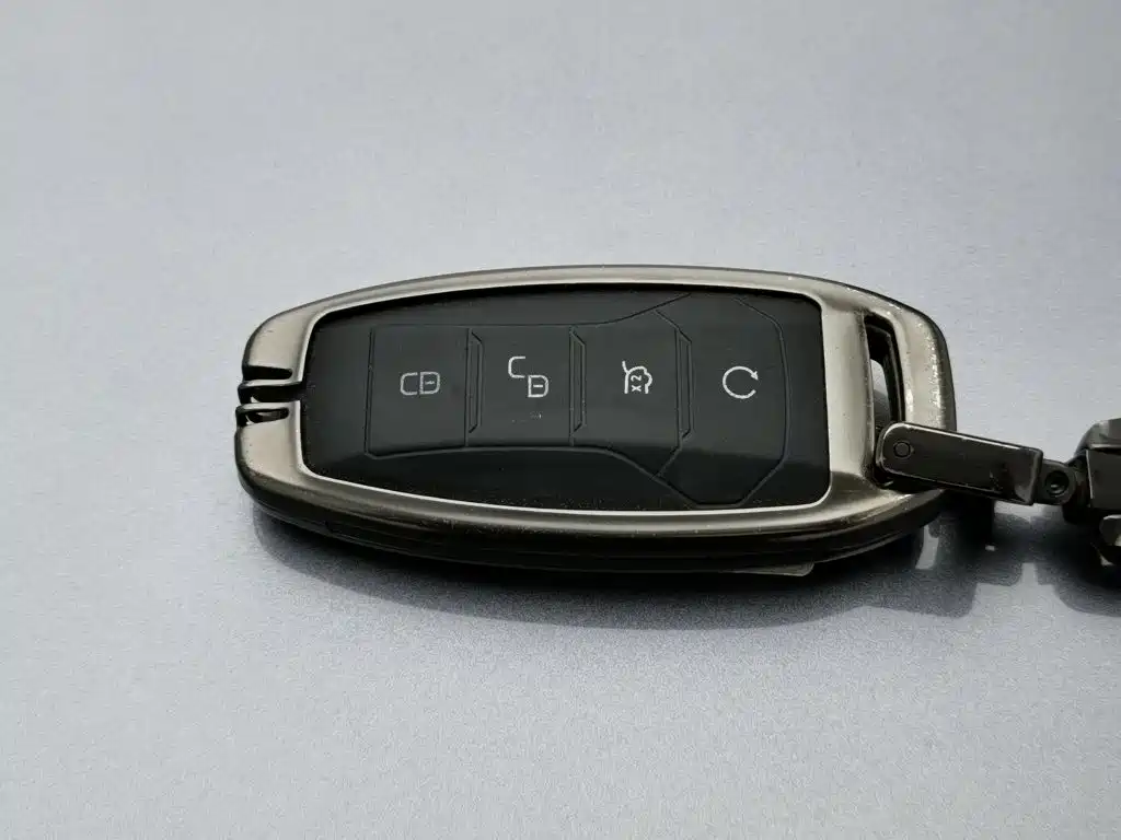 BYD PLUS — миниатюра 19