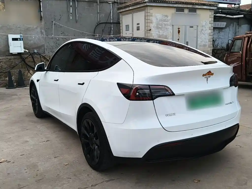 Tesla Model Y — миниатюра 5