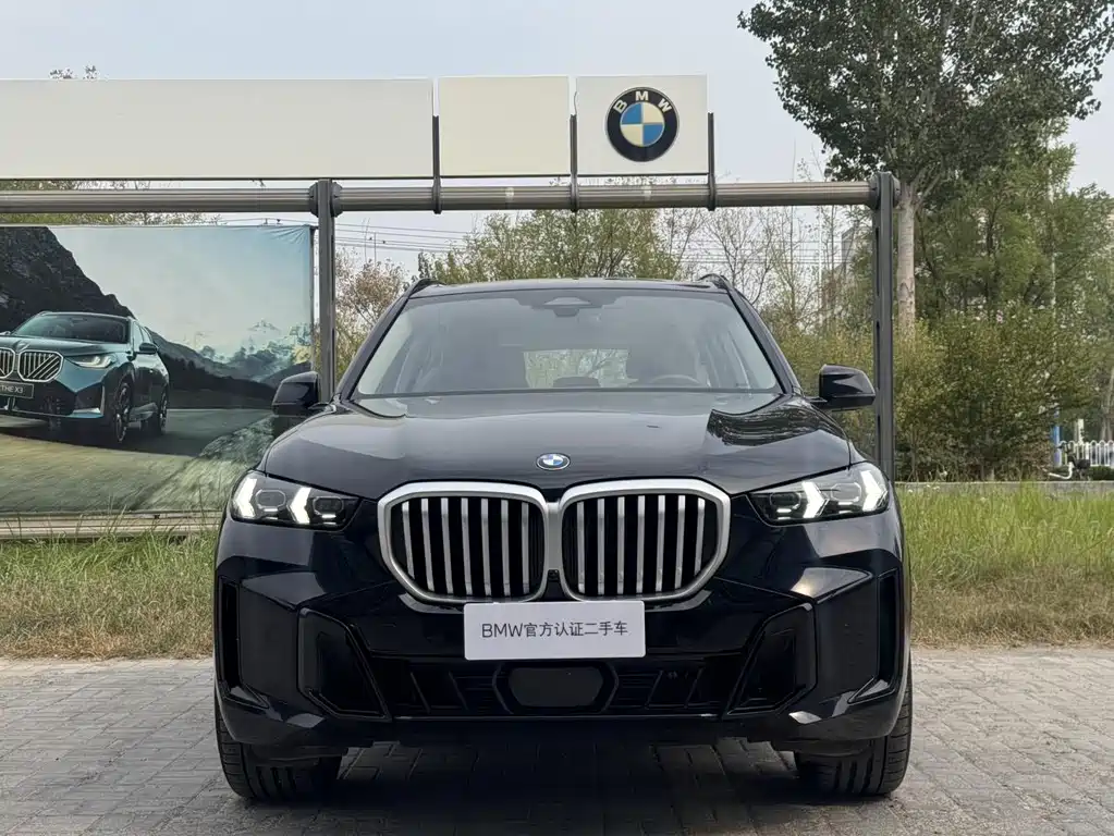 BMW X5 — миниатюра 2
