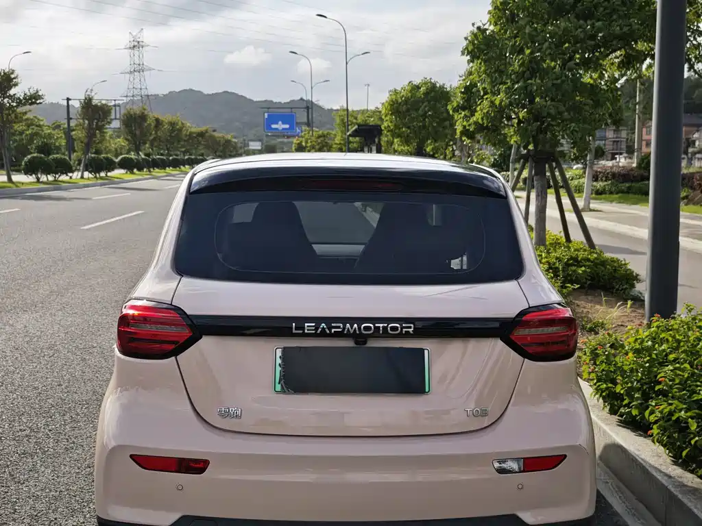 Leapmotor T03 2024 310
