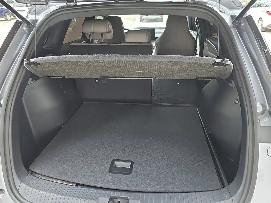BYD Pro New Energy - фото 4