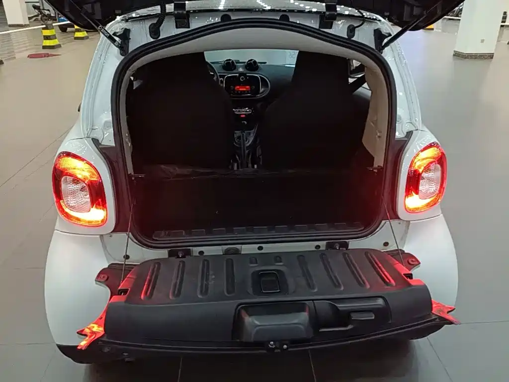 smart Smart Fortwo — миниатюра 19