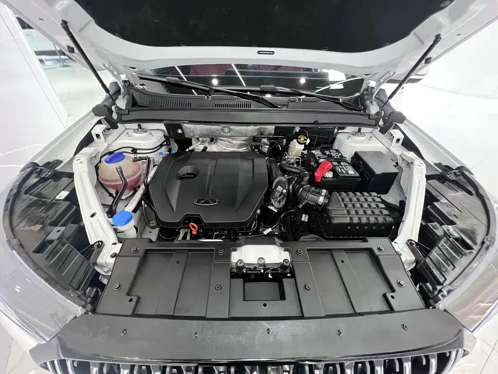 Chery Tiggo 7 PLUS — миниатюра 21