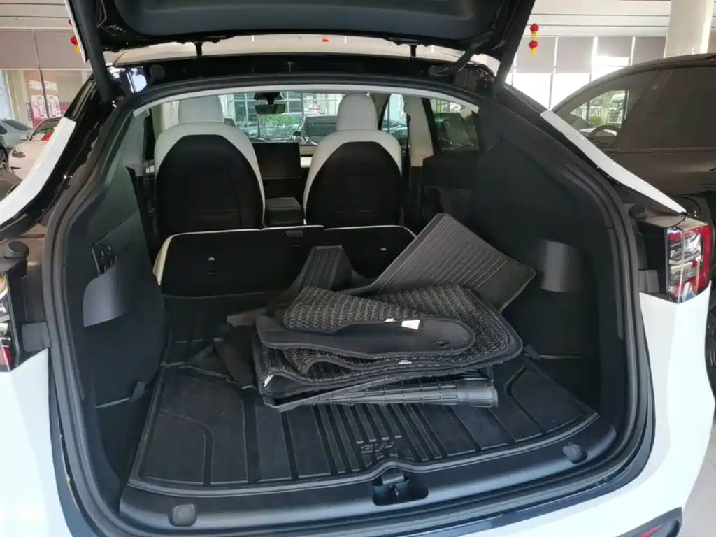 Tesla Model Y — миниатюра 19