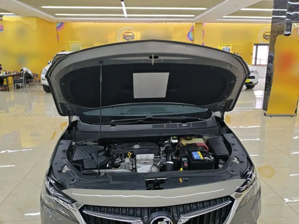 Buick GL6 — миниатюра 20