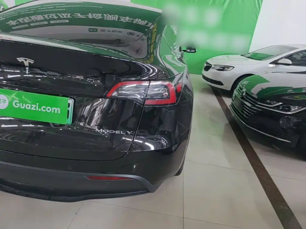 Tesla Model Y — миниатюра 8