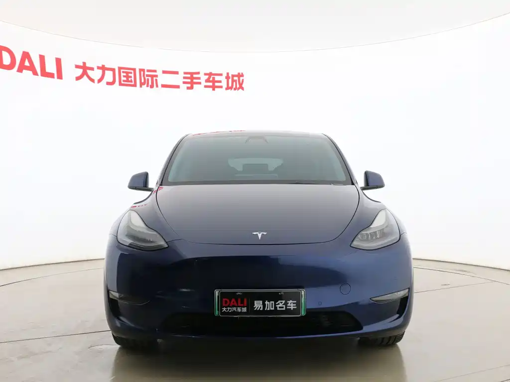 Tesla Model Y — миниатюра 2
