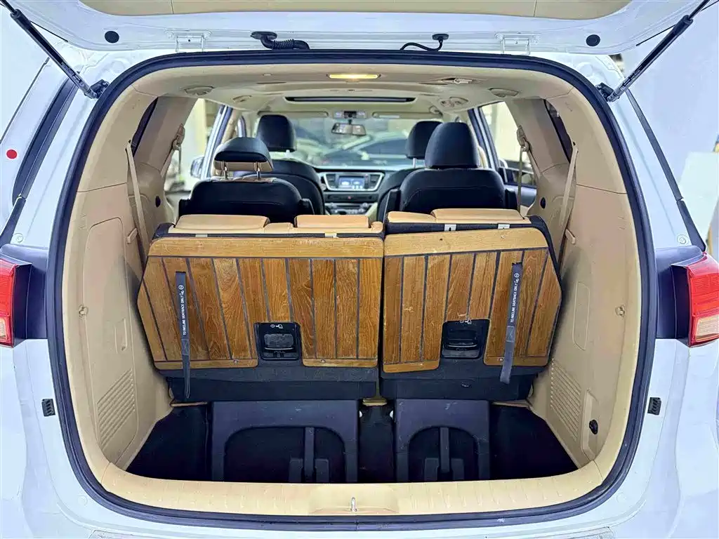 Kia Carnival — миниатюра 21