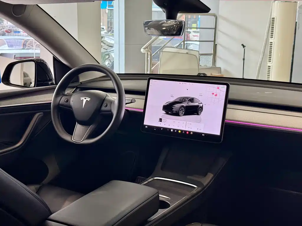 Tesla Model Y — миниатюра 8