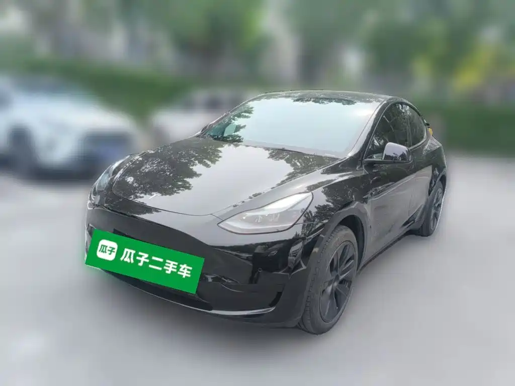 Tesla Model Y — миниатюра 2