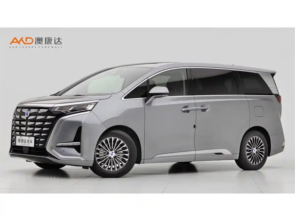 Denza Denza D9
