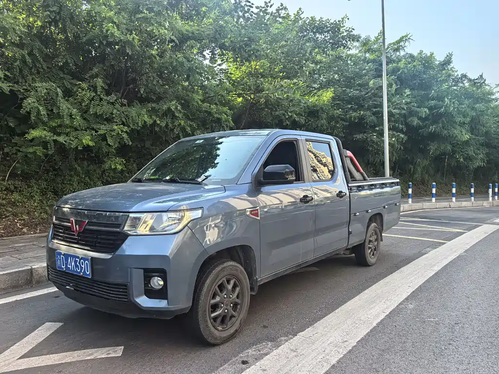 Wuling Journey 2023