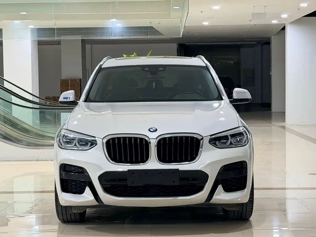 BMW X3 — миниатюра 2