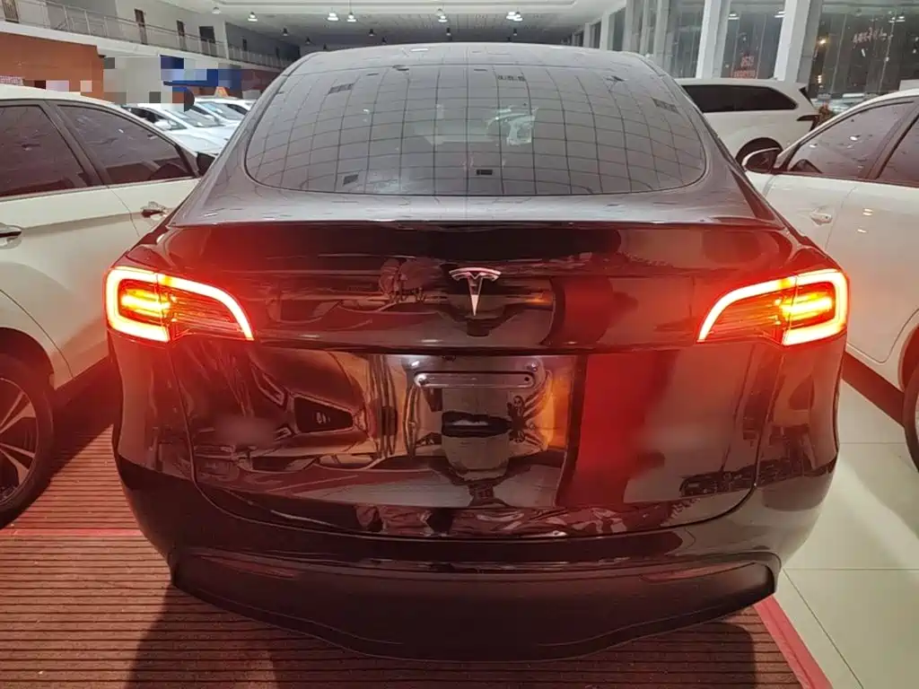 Tesla Model Y — миниатюра 6