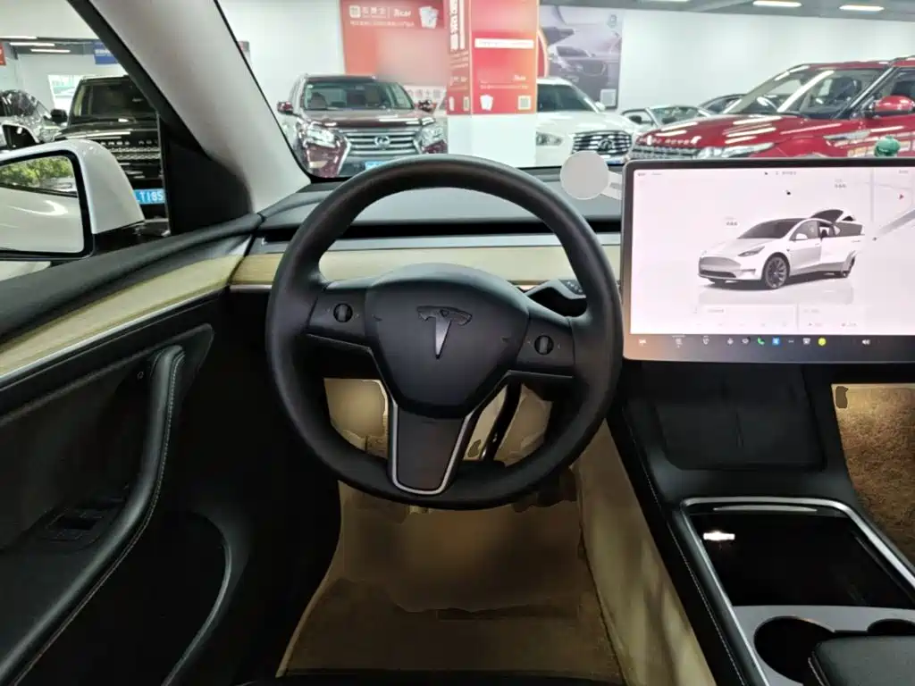 Tesla Model Y — миниатюра 11