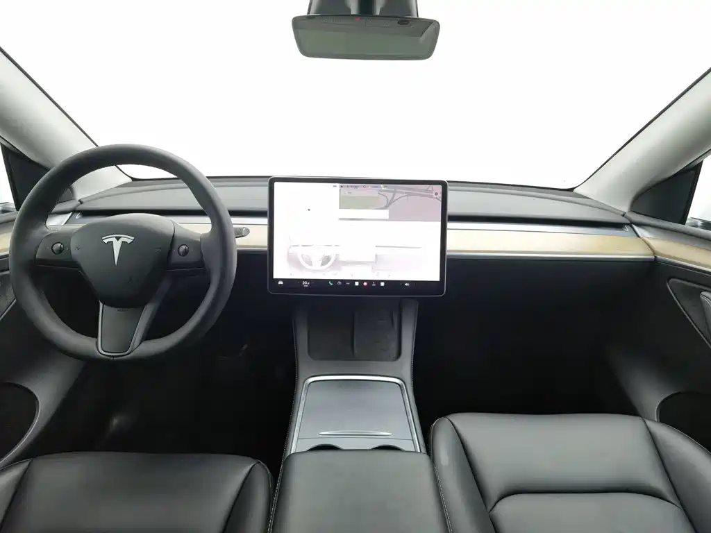 Tesla Model Y — миниатюра 5