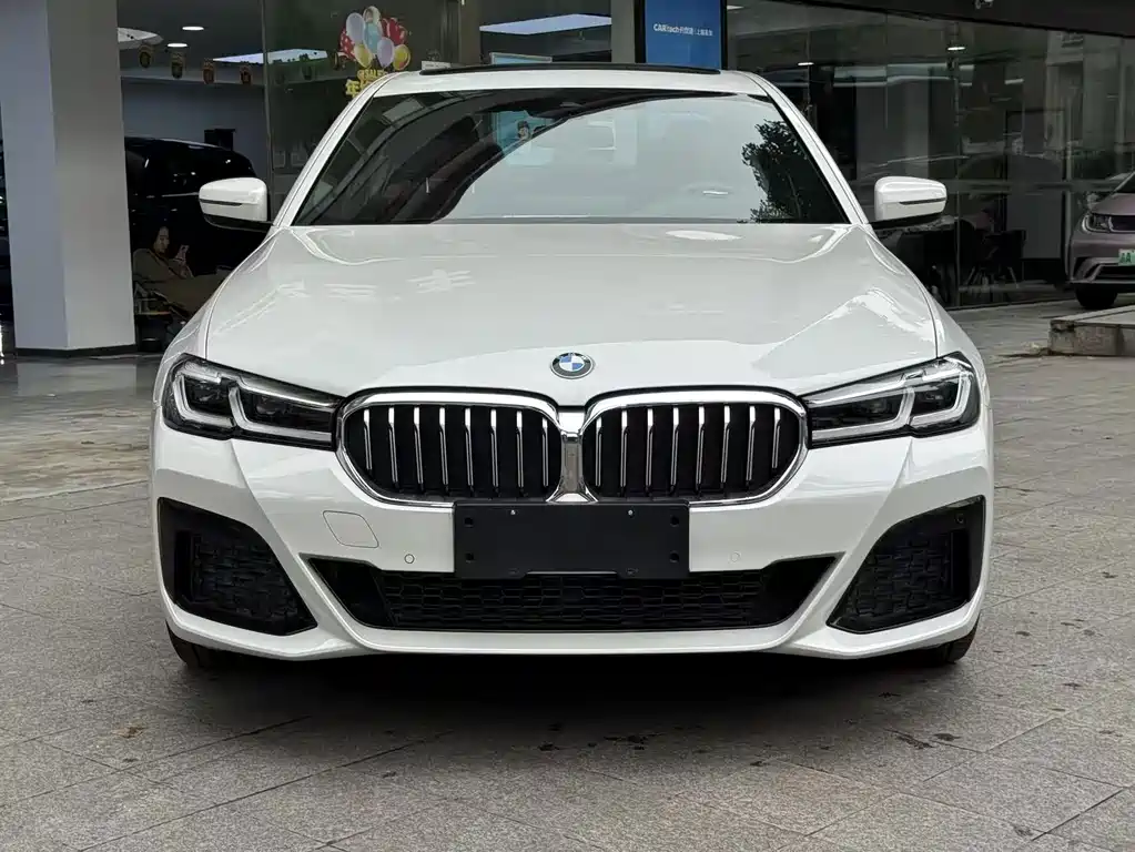 BMW 5 Series — миниатюра 3