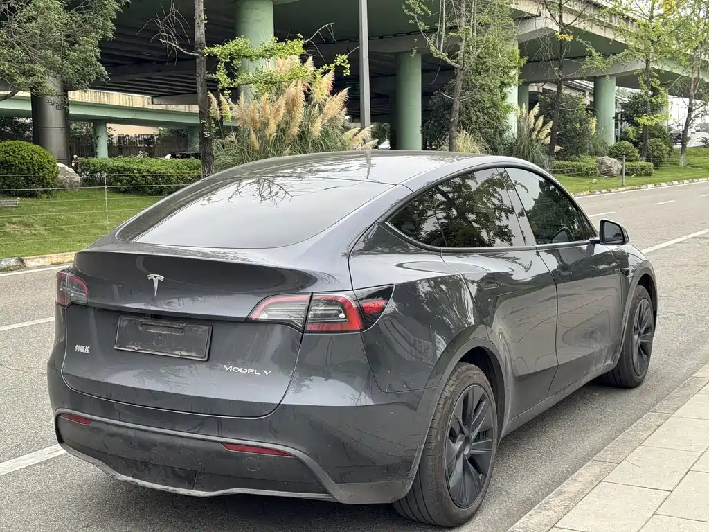 Tesla Model Y — миниатюра 9