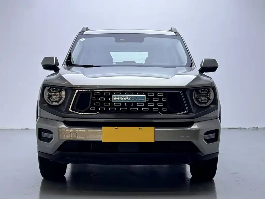 HAVAL  SECOND GENERATION BIG DOG NEW ENERGY