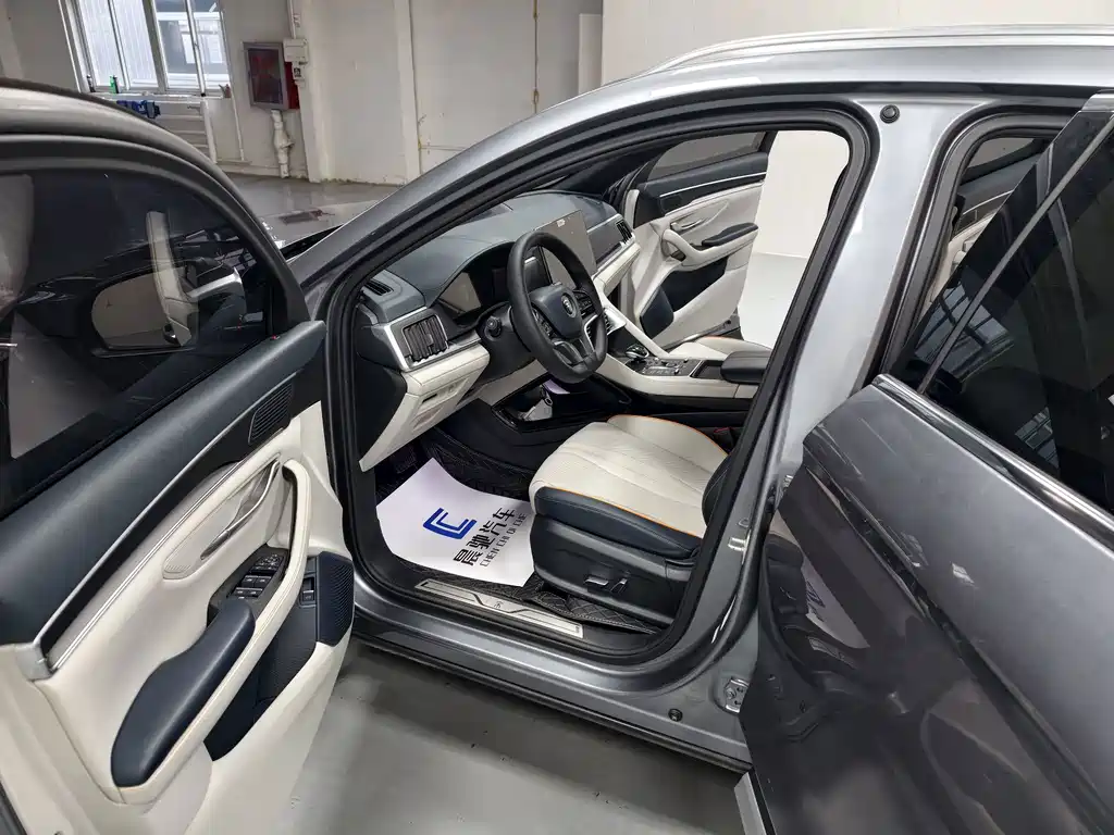 BYD PLUS New Energy — миниатюра 11