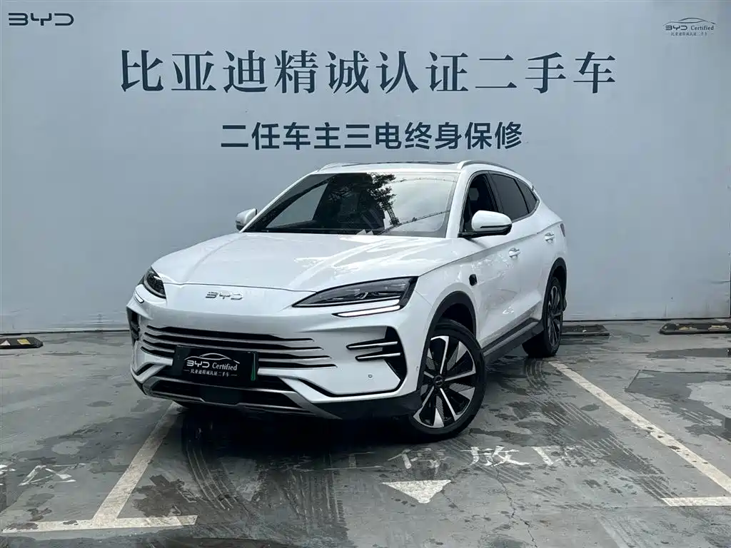 BYD PLUS New Energy 2025