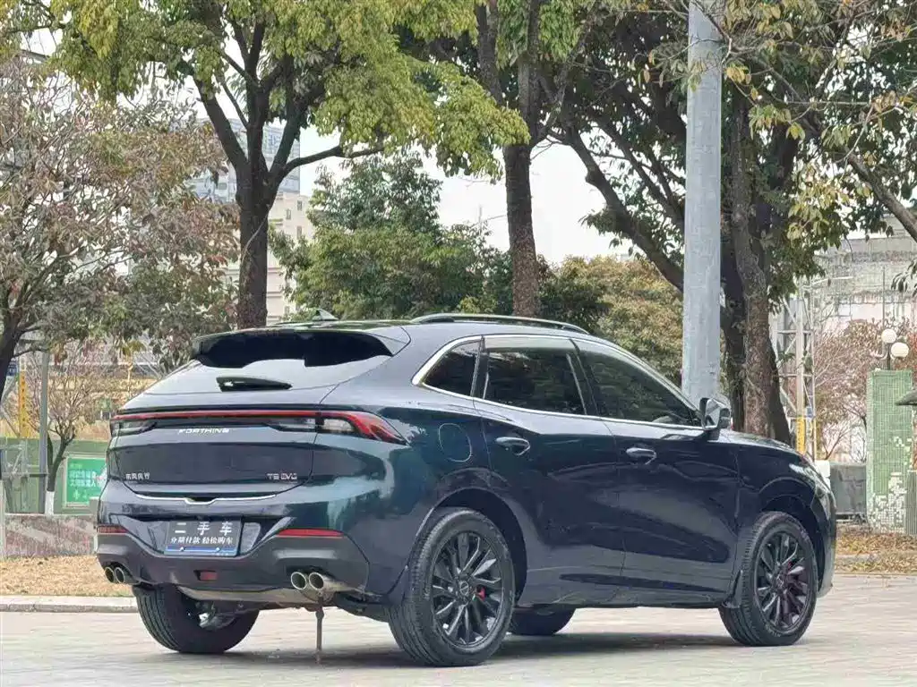 DONGFENG POPULAR T5 EVO