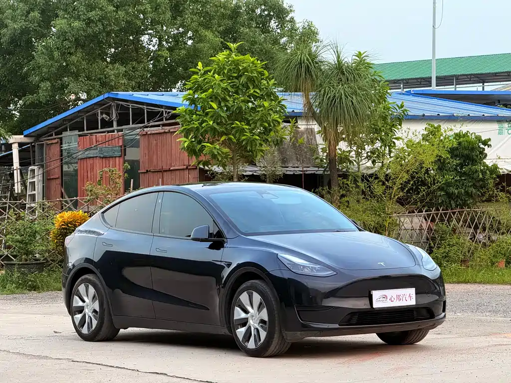 Tesla Model Y — миниатюра 3