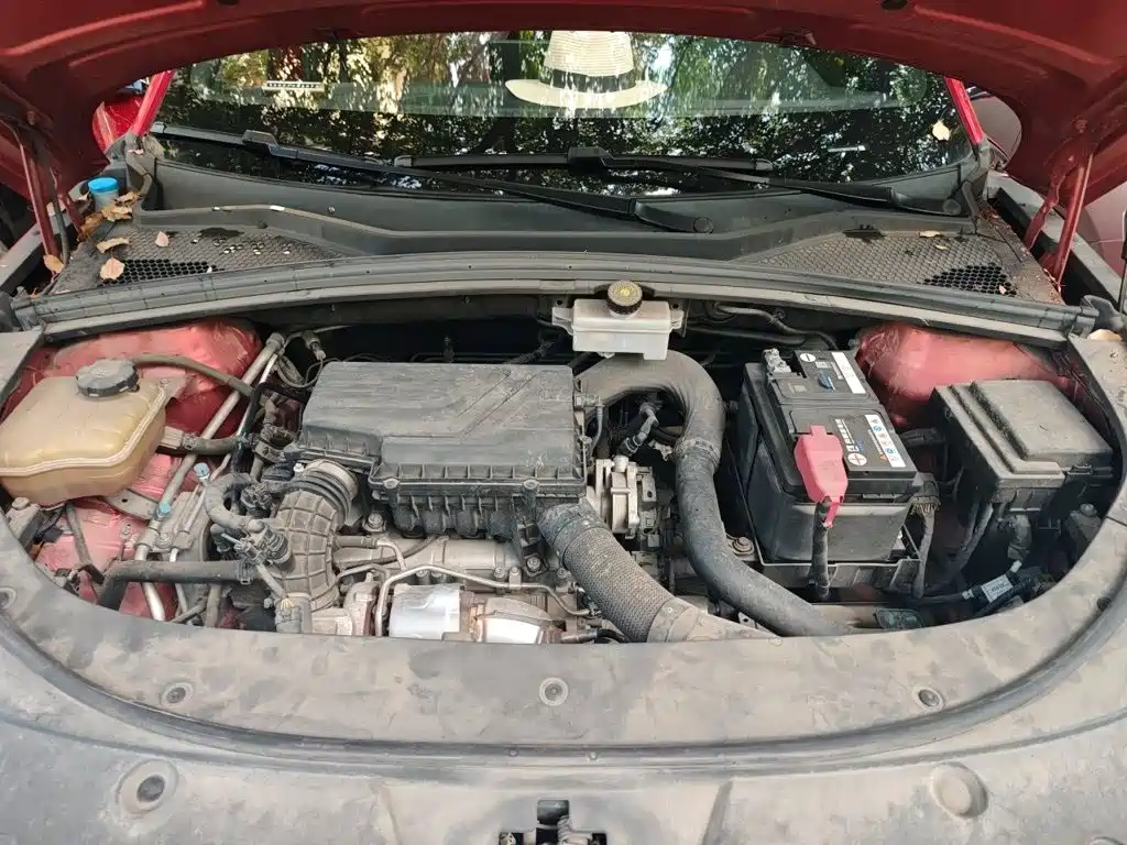 BYD PLUS — миниатюра 11