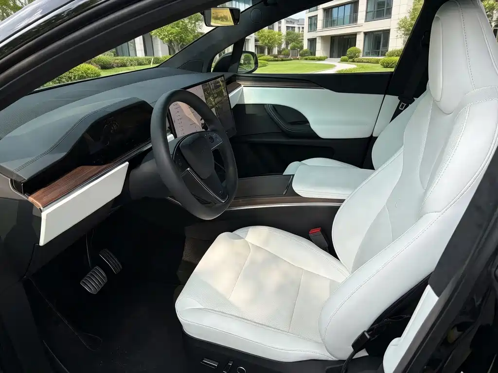 Tesla Model X — миниатюра 7