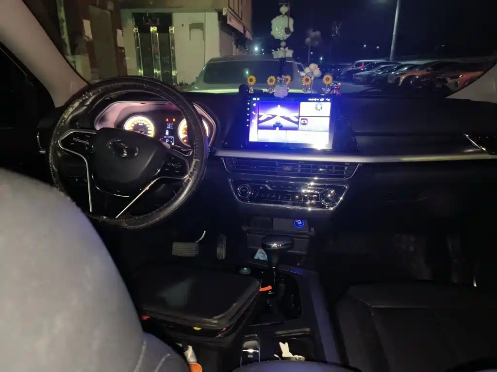 Soueast DX5 — миниатюра 5