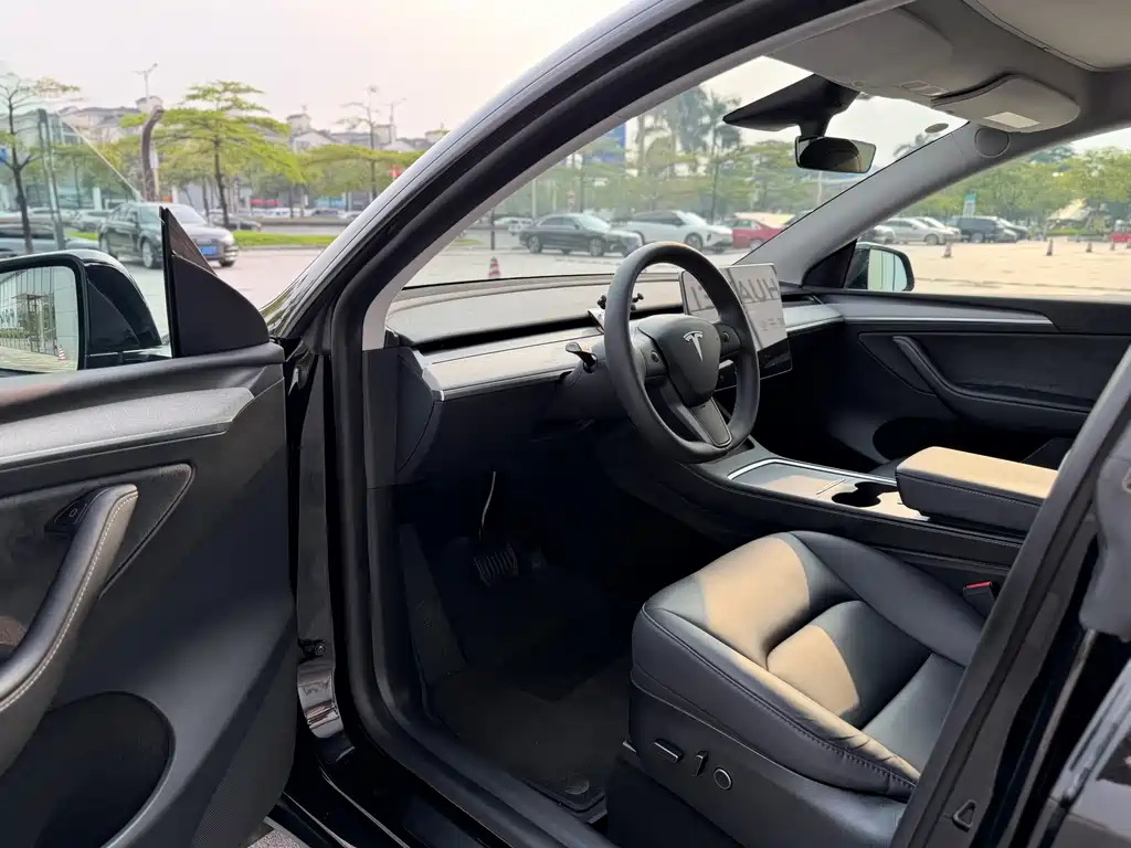 Tesla Model Y — миниатюра 8