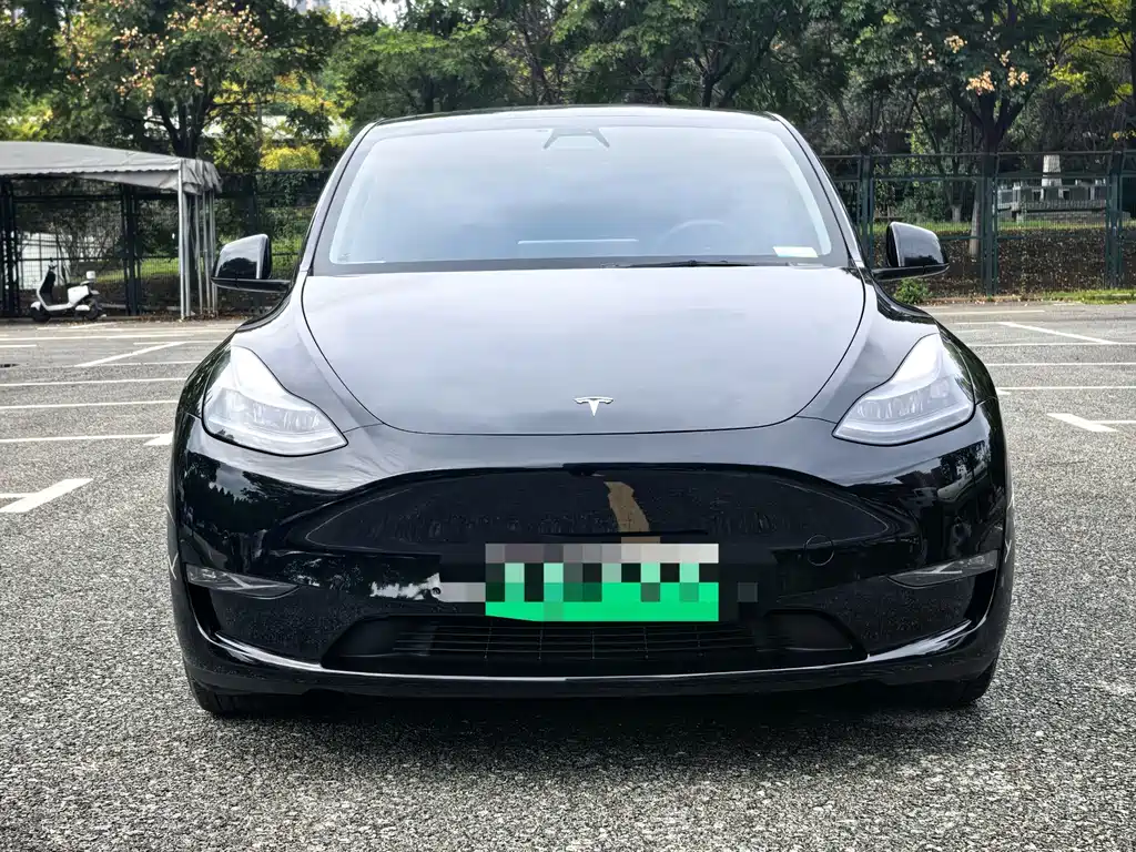 Tesla Model Y — миниатюра 2