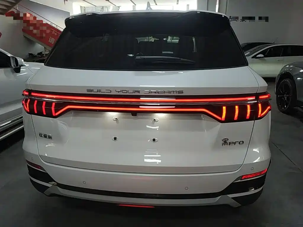 BYD Pro — миниатюра 6