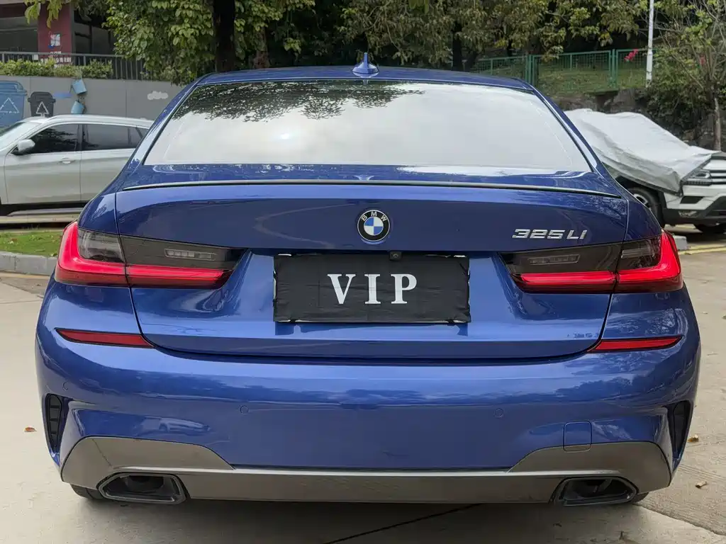 BMW 3 Series 3 2020 325Li M Sport