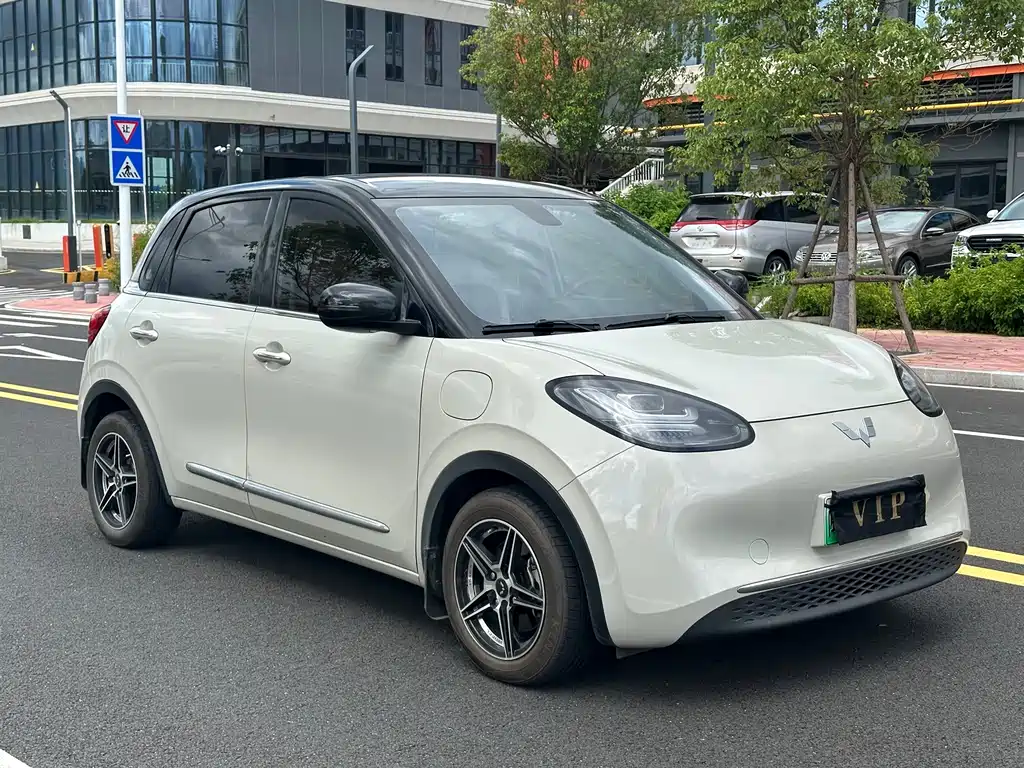 Wuling Binguo 2023 410km Premium
