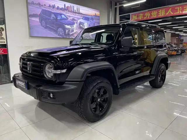 Tank 300
