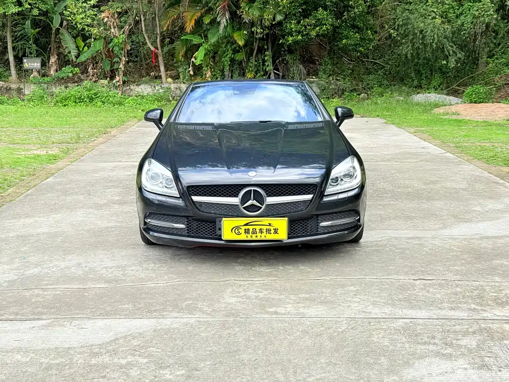 Mercedes-Benz SLK-Class SLK 200 Fashion Type, фото 2